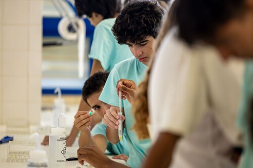 Missão Bioquímica: Descobre o Mecanismo da Enzima e a Cura nas Algas. Departamento de Química, DQ