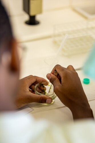 Missão Bioquímica: Descobre o Mecanismo da Enzima e a Cura nas Algas. Departamento de Química, DQ