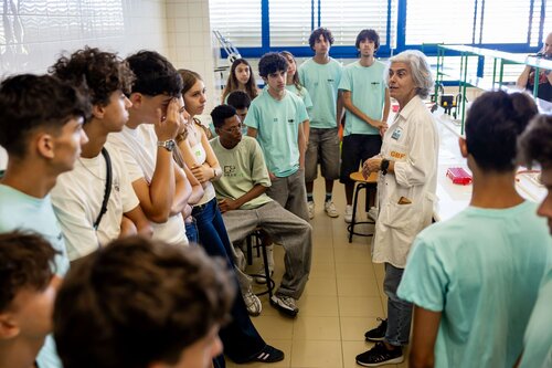 Missão Bioquímica: Descobre o Mecanismo da Enzima e a Cura nas Algas. Departamento de Química, DQ