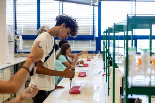 Equilíbrio Redox: a equação de Nernst (atividade experimental). Departamento de Química, DQ