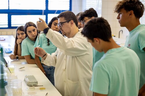 Equilíbrio Redox: a equação de Nernst (atividade experimental). Departamento de Química, DQ