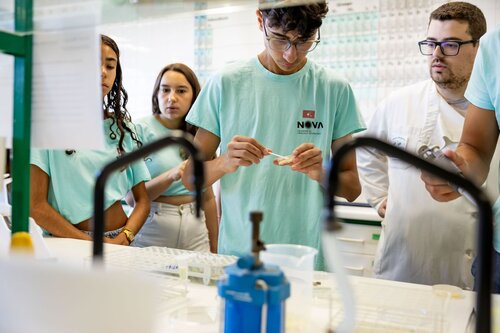 Equilíbrio Redox: a equação de Nernst (atividade experimental). Departamento de Química, DQ