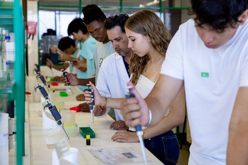 Equilíbrio Redox: a equação de Nernst (atividade experimental). Departamento de Química, DQ