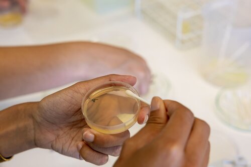 Equilíbrio Redox: a equação de Nernst (atividade experimental). Departamento de Química, DQ