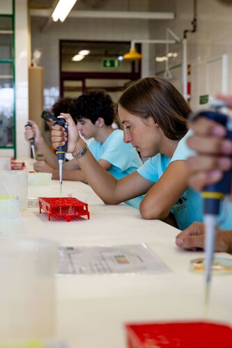 Equilíbrio Redox: a equação de Nernst (atividade experimental). Departamento de Química, DQ