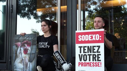 Activist chained at the doors of Sodexo in Paris