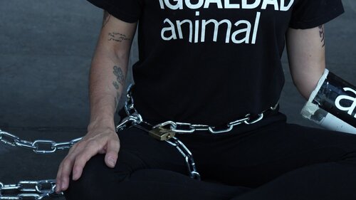 Activist chained at the doors of Sodexo in Paris