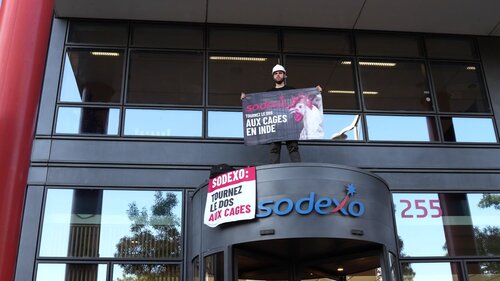 Activist on the van on the way to the action