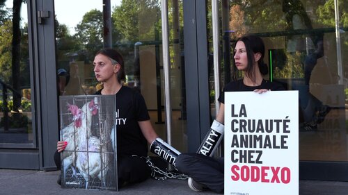Activist chained at the doors of Sodexo in Paris