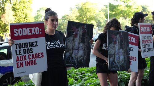Activist Protest at the outdoors of Sodexo in Paris, France
