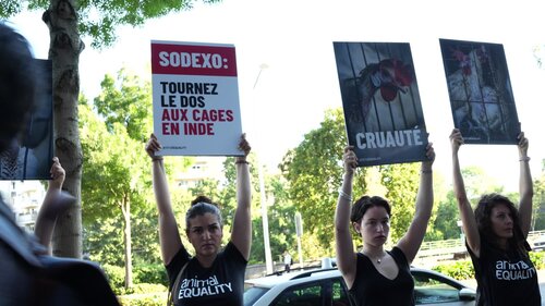 Activist Protest at the outdoors of Sodexo in Paris, France