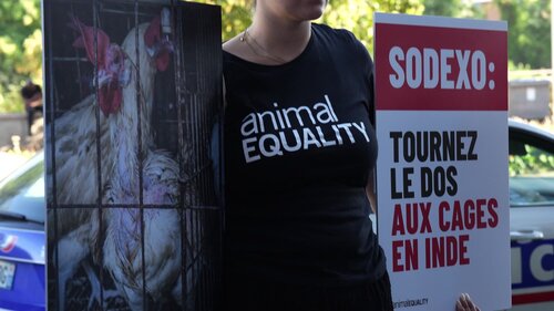 Activist Protest at the outdoors of Sodexo in Paris, France