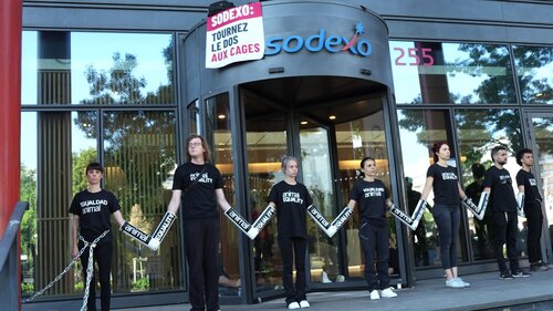 Activist chained at the doors of Sodexo in Paris