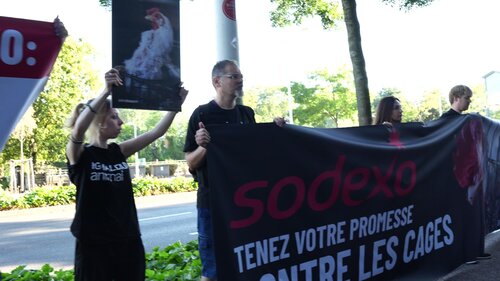 Activist Protest at the outdoors of Sodexo in Paris, France