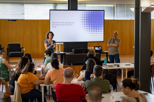 Teresa Santos Silva, Carlos Salgueiro