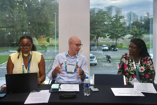 AIDS 2026, the 26th International AIDS Conference. Rio de Janeiro, Brazil.
Wednesday, 29 July 2026.

PCCRAPW. PCC research agenda priorization workshop.

© Márcia Moreira / IAS.