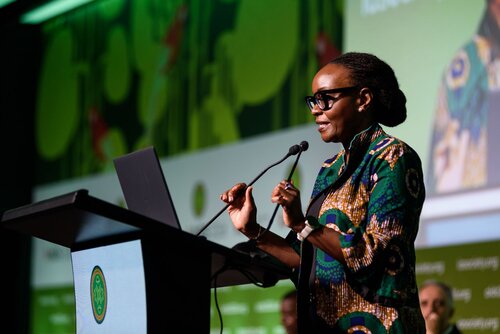 AIDS 2026, the 26th International AIDS Conference. Rio de Janeiro, Brazil.
Friday, 31 July 2026.

PL04. New realities, new responses.
In the photo: Izukanji Sikazwe.

©️ Rogério von Krüger / IAS