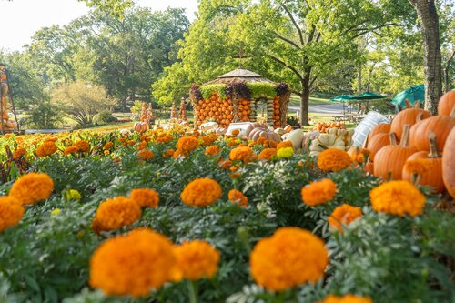 Photo by Diana Rosales. Courtesy of Cheekwood Estate & Gardens.