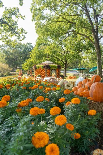 Photo by Diana Rosales. Courtesy of Cheekwood Estate & Gardens.