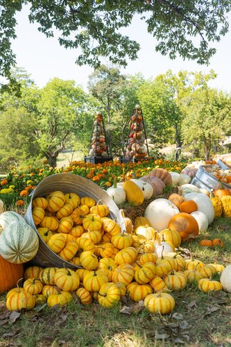 Photo by Diana Rosales. Courtesy of Cheekwood Estate & Gardens.