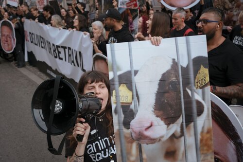 More than 300 animal rights activists protest in Brussells 

Credit Raffaelle Petralla | Animal Equality