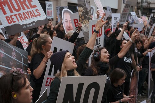 More than 300 animal rights activists protest in Brussells 

Credit Raffaelle Petralla | Animal Equality