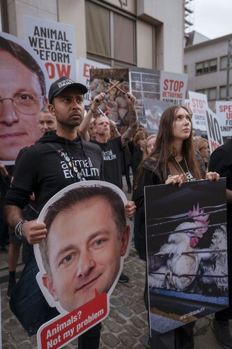 More than 300 animal rights activists protest in Brussells 

Credit Raffaelle Petralla | Animal Equality