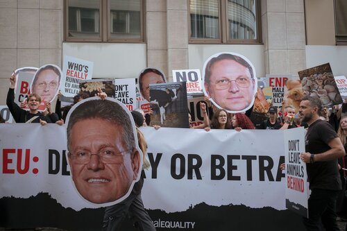 More than 300 animal rights activists protest in Brussells 

Credit Raffaelle Petralla | Animal Equality