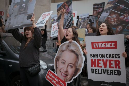 More than 300 animal rights activists protest in Brussells 

Credit Raffaelle Petralla | Animal Equality