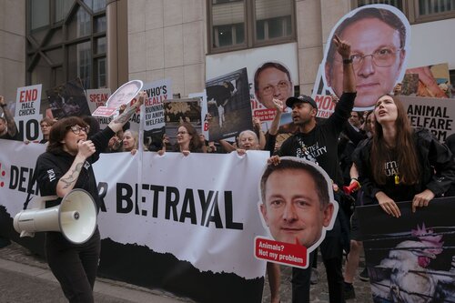 More than 300 animal rights activists protest in Brussells 

Credit Raffaelle Petralla | Animal Equality