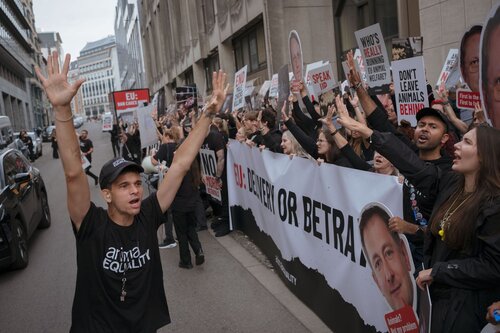 More than 300 animal rights activists protest in Brussells 

Credit Raffaelle Petralla | Animal Equality