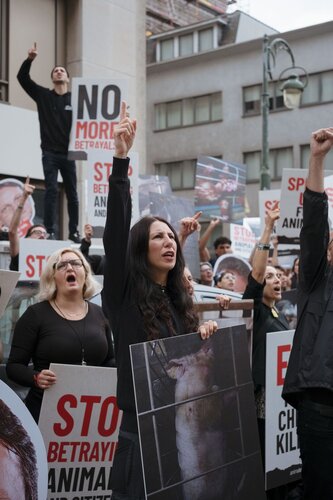 More than 300 animal rights activists protest in Brussells 

Credit Raffaelle Petralla | Animal Equality