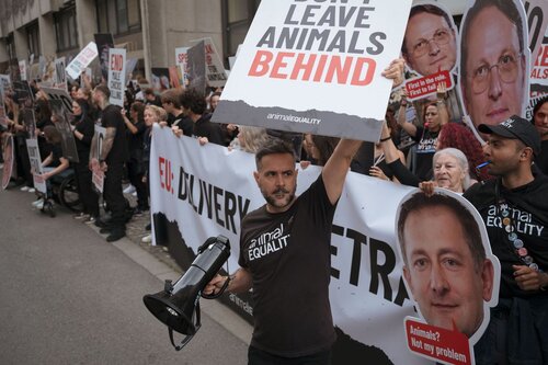 More than 300 animal rights activists protest in Brussells 

Credit Raffaelle Petralla | Animal Equality