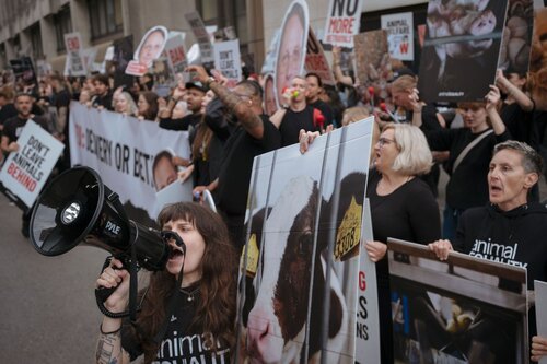 More than 300 animal rights activists protest in Brussells 

Credit Raffaelle Petralla | Animal Equality