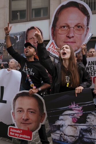 More than 300 animal rights activists protest in Brussells 

Credit Raffaelle Petralla | Animal Equality
