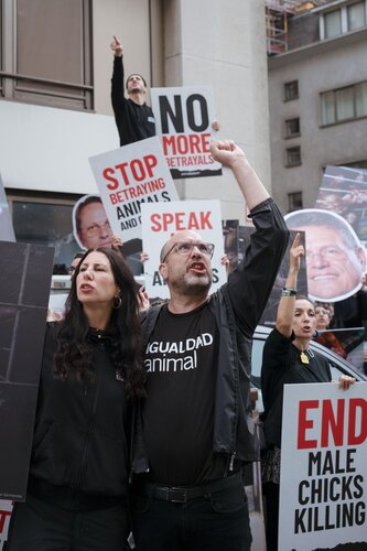 More than 300 animal rights activists protest in Brussells 

Credit Raffaelle Petralla | Animal Equality