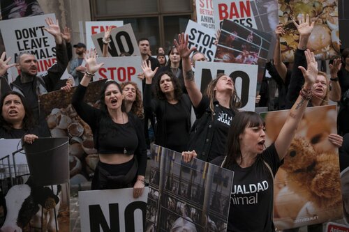 More than 300 animal rights activists protest in Brussells 

Credit Raffaelle Petralla | Animal Equality