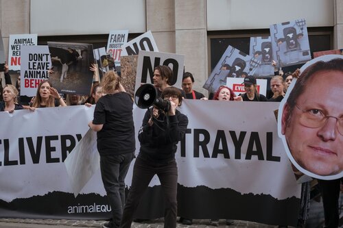 More than 300 animal rights activists protest in Brussells 

Credit Raffaelle Petralla | Animal Equality