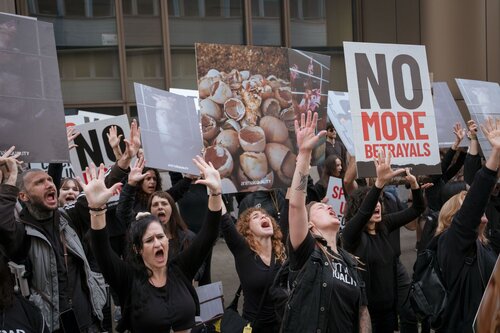 More than 300 animal rights activists protest in Brussells 

Credit Raffaelle Petralla | Animal Equality
