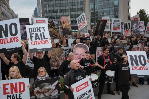 Credit pictures: Raffaelle Petralla | Animal Equality