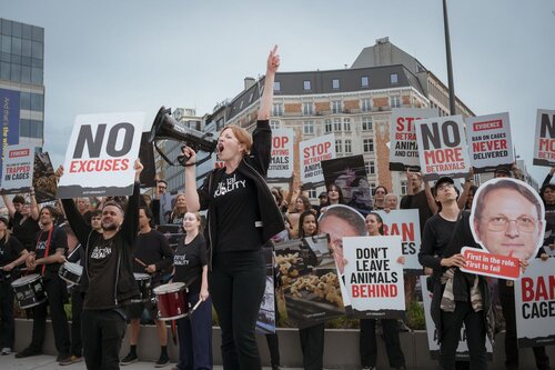 Credit pictures: Raffaelle Petralla | Animal Equality