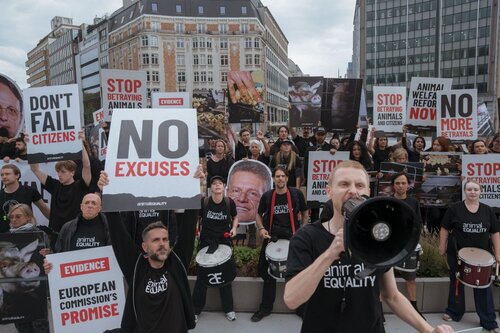 Credit pictures: Raffaelle Petralla | Animal Equality