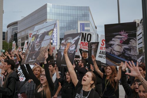 Credit pictures: Raffaelle Petralla | Animal Equality