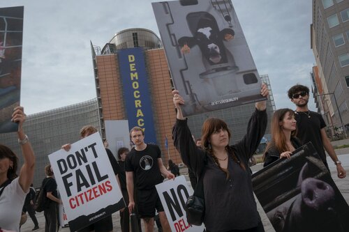 Credit pictures: Raffaelle Petralla | Animal Equality