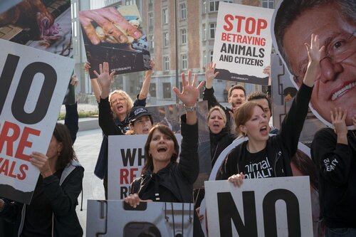 Credit pictures: Raffaelle Petralla / Animal Equality