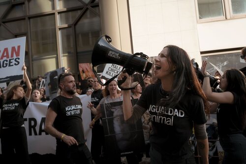 Credit pictures: Raffaelle Petralla / Animal Equality