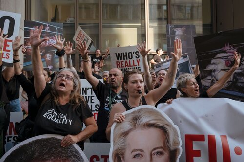 Credit pictures: Raffaelle Petralla / Animal Equality