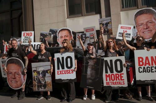 Credit pictures: Raffaelle Petralla / Animal Equality