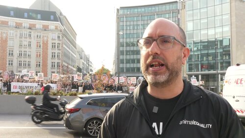Javier Moreno, cofundador de Igualdad Animal