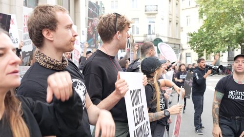 Protests outside DG SANTE and the Berlaymont building -  the European Commission's headquarters in Brussels -  with hundreds of activists gathered from across Europe, continued for three days, twice a day.